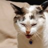 Викос's profile picture
