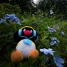 Xi Bowang🇨🇳🇹🇼's profile picture