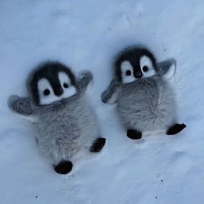 eisekw's profile picture