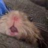 Profilbild von Yanny