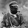 Commandant Cartouche's profile picture