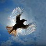 滨 profil fotoğrafı