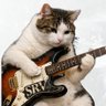 Фото профиля 三代目ヌコ大好き😻Ray 黒川大喜利専用😺