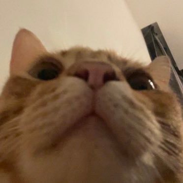 syu423423's profile picture