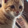 keashur's profile picture