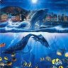 クジラ猫MAXです。 profil fotoğrafı
