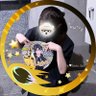 かのんちゃん🪄︎︎💫 profil fotoğrafı