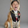 Profilbild von 德仁 Naruhito