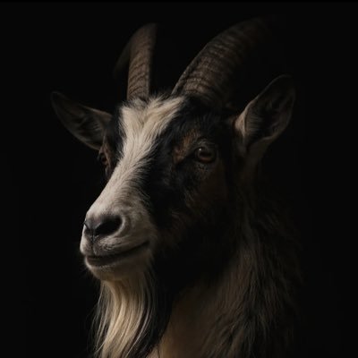 boye6699's profile picture