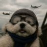 Arvind puthucode's profile picture
