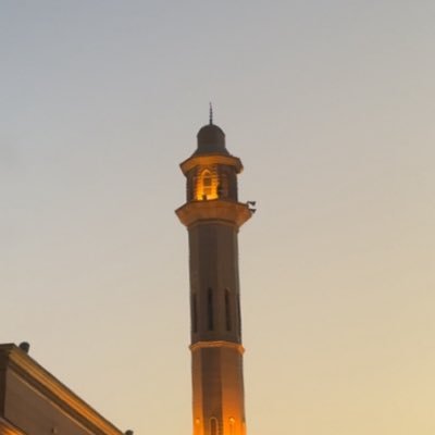 انتصار's profile picture