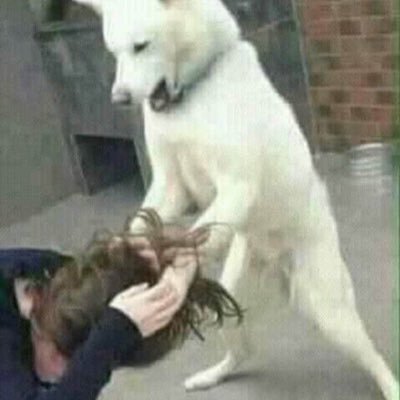 ɴ-ʀɪɴ's profile picture