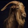 Stephan_Wolf ๐'s profile picture