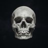 Profilbild von flamebrain