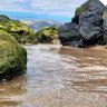 Profilbild von Dani M