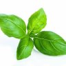 Herb 🌿 knowledge's profile picture
