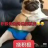 M&M 的头像