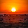 SunsetChaser🩷🩵 profil fotoğrafı