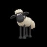 Profilbild von Shawn