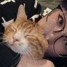 Ghostlehate's profile picture