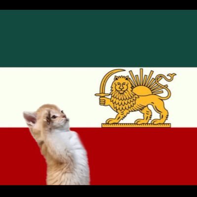 flamingolibero's profile picture