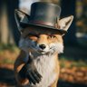 Profilbild von WhereTheFoxHat?