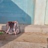 شمع مرده🎒🍉 profil fotoğrafı