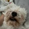 Profilbild von rudbintoca 🐌