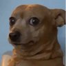 Profilbild von Malamen
