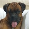 Profilbild von isabeau