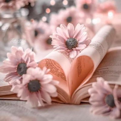 خزامى الشرق's profile picture