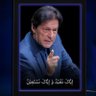 Khan's profile picture