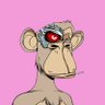 Cyber Amb's profile picture