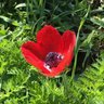 perihanperi profil fotoğrafı