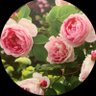 blue_whisper's profile picture