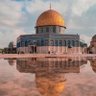 الصَّقِيل🪝 profil fotoğrafı