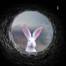 Ursula Smith's profile picture