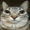 Profilbild von Wawa