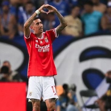 Rafael's profile picture