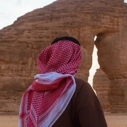 ناصر's profile picture