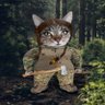 Gody3 🇺🇦 🇳🇱 (NAFO Catbrigade)'s profile picture