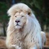 Profilbild von ابو داود
