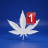 Ganja 的头像