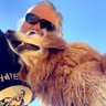 Gazza49's profile picture