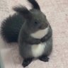 Profilbild von Riza