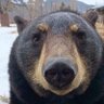Profilbild von Baidheo