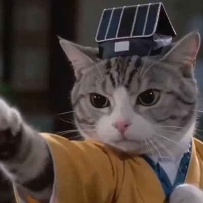 CatFu's profile picture