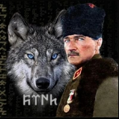 𝐁İ𝐑 𝐓Ü𝐑𝐊🇹🇷͜͜͡͡✯𐱅𐰇𐰼𐰰🐺's profile picture