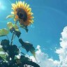 Rafael Jimenez's profile picture