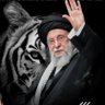 Raj Ansari's profile picture